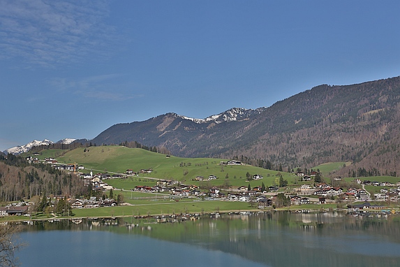 MD D. Hamel