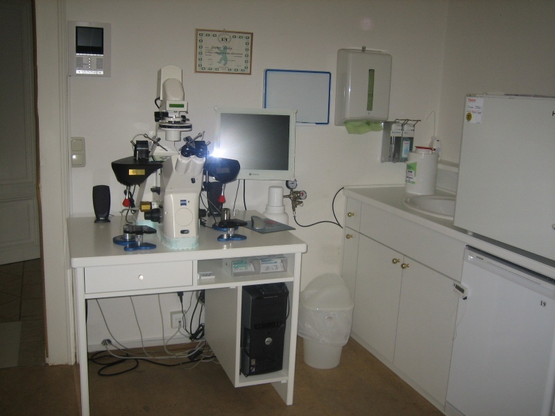 Prof. MD S. Szalay
