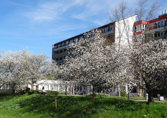 MD J. Leiendecker