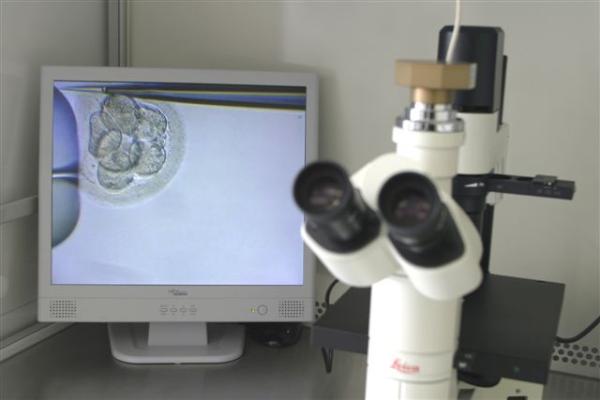 Prof. MD H. Zech