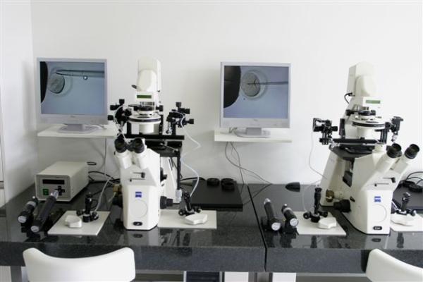 Prof. MD H. Zech