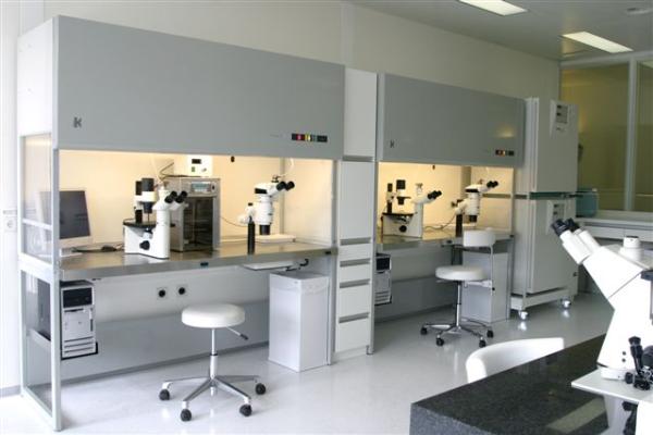 Prof. MD H. Zech