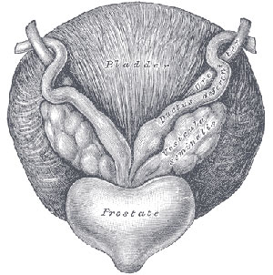 Prostate treatment