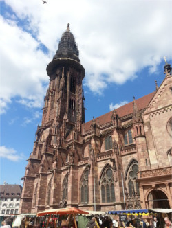 Freiburg Cathedral