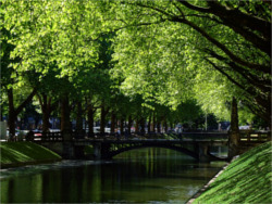 Königsallee in Stadtmitte